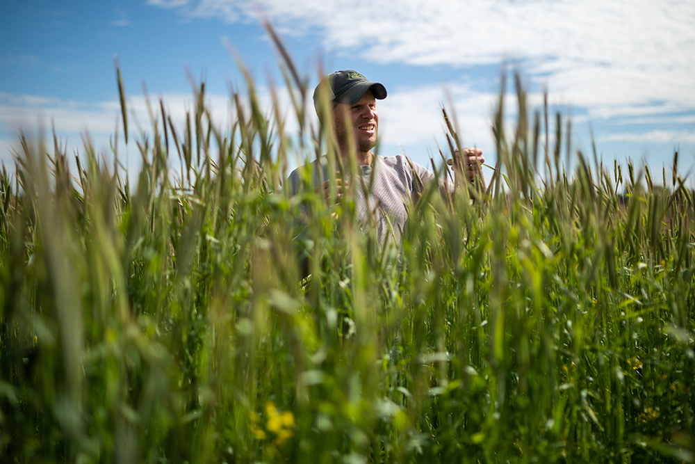 rancher in field