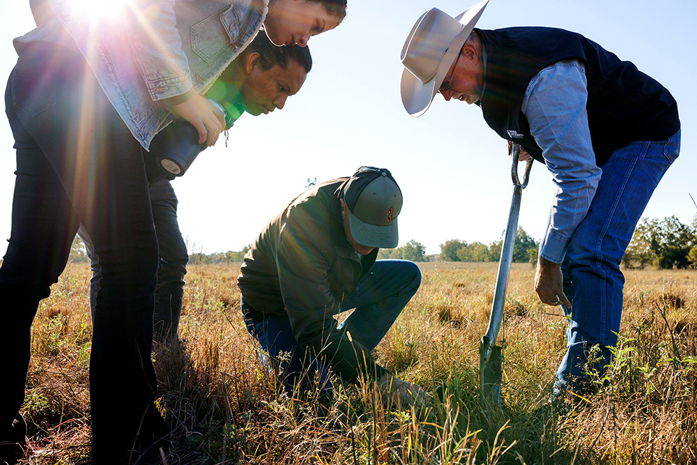 working in field