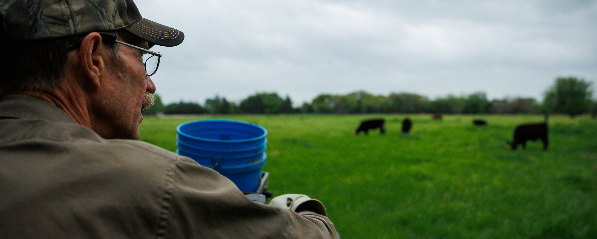 Discover the Power of Observation: A Guide to Tracking and Enhancing Your Regenerative Ranching Transition