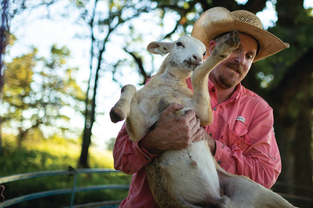 Joe Pokay with a lamb