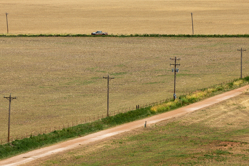 pasture during drought