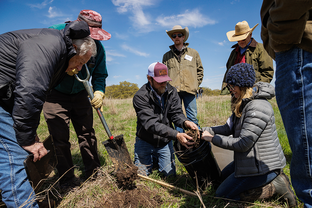 class field work