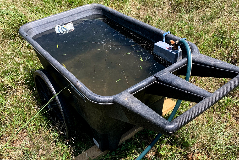 water bucket