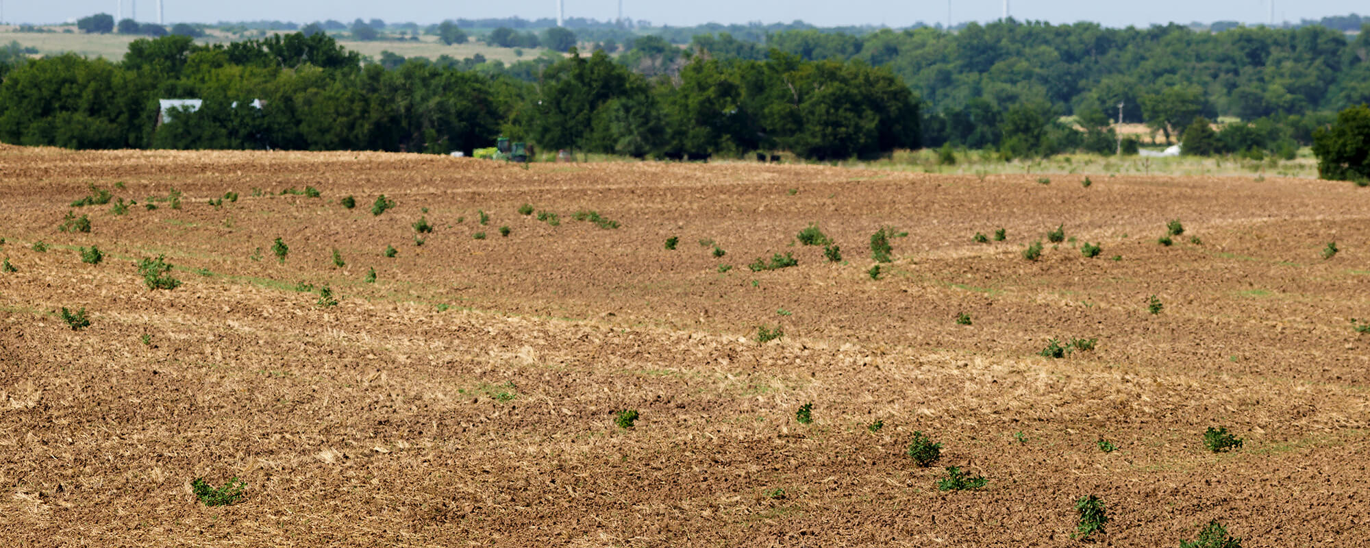 What To Do If Your Forage Production Is Less Than Halfway There By End Of June