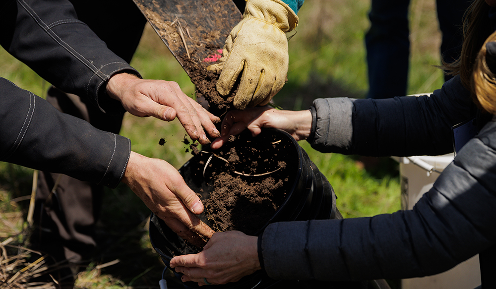 gathering soil samples