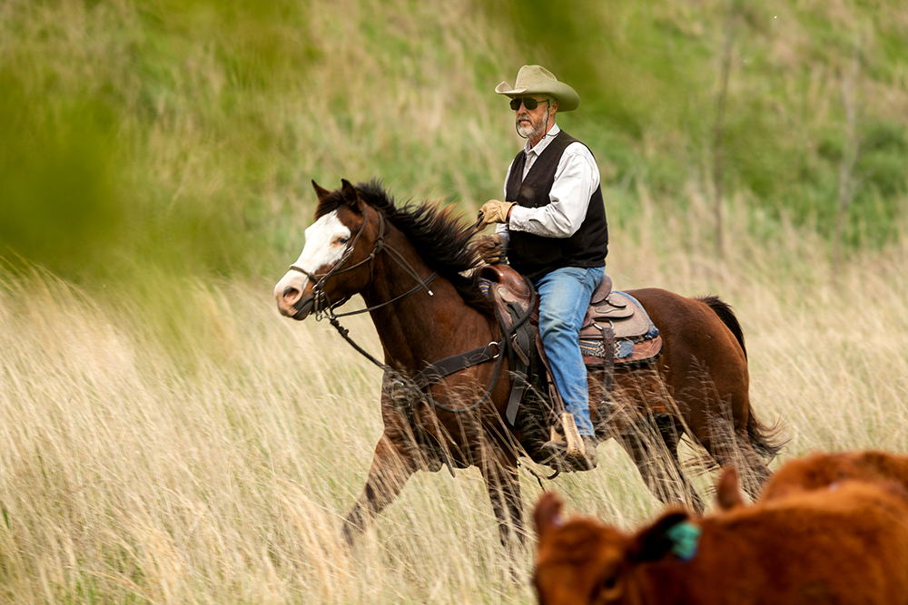 Yates Adcock on horse