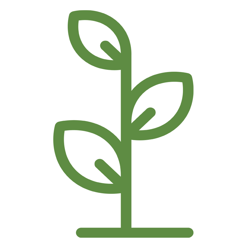 plant icon