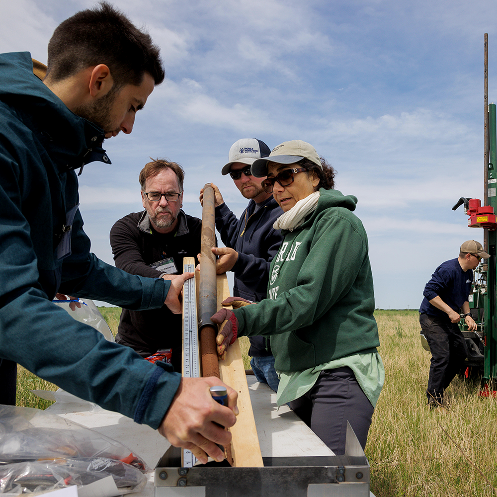 soil samples